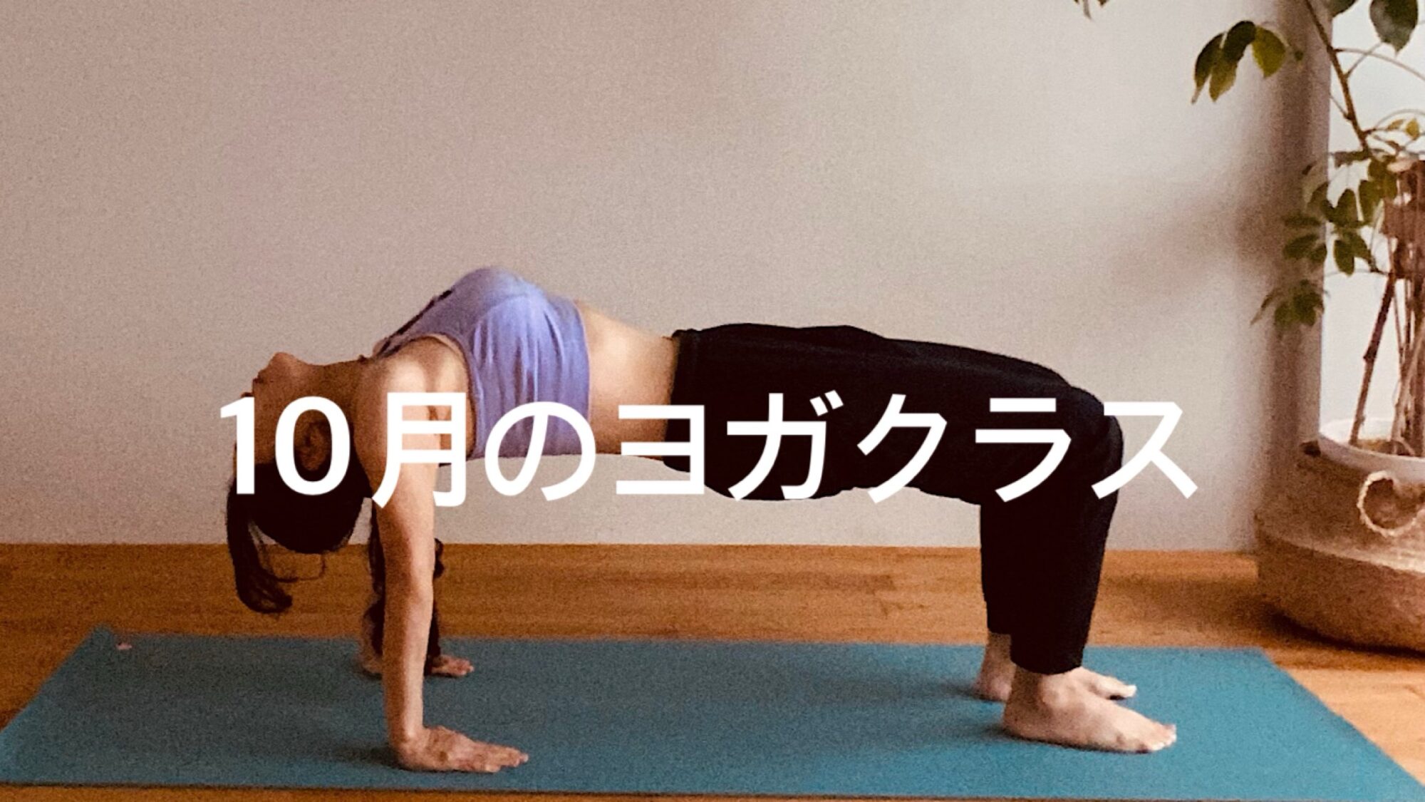 10月のヨガクラス